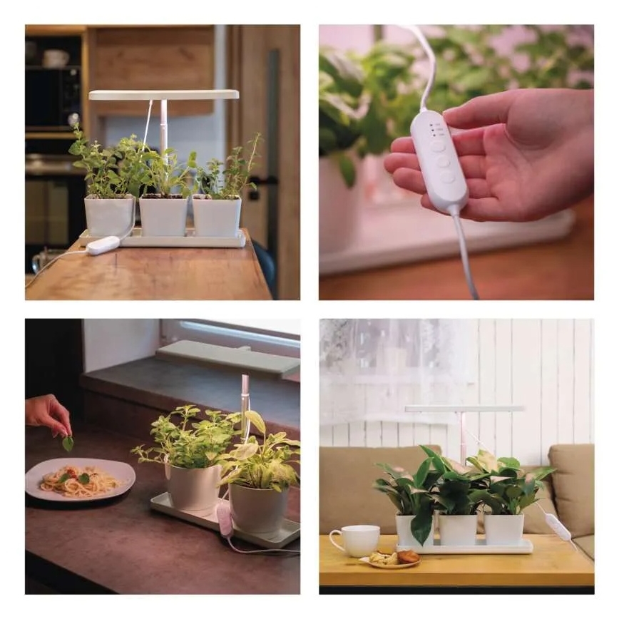 Lámpara LED regulable de interior para cultivo de plantas GROW LED/7W/5V