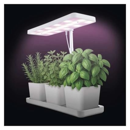 Lámpara LED regulable de interior para cultivo de plantas GROW LED/7W/5V