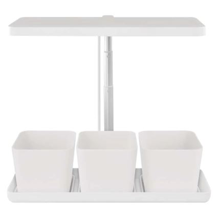 Lámpara LED regulable de interior para cultivo de plantas GROW LED/7W/5V