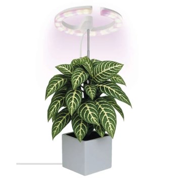 Lámpara LED regulable de interior para cultivo de plantas GROW LED/8W/5V