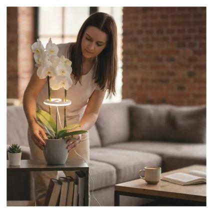 Lámpara LED regulable de interior para cultivo de plantas GROW LED/8W/5V