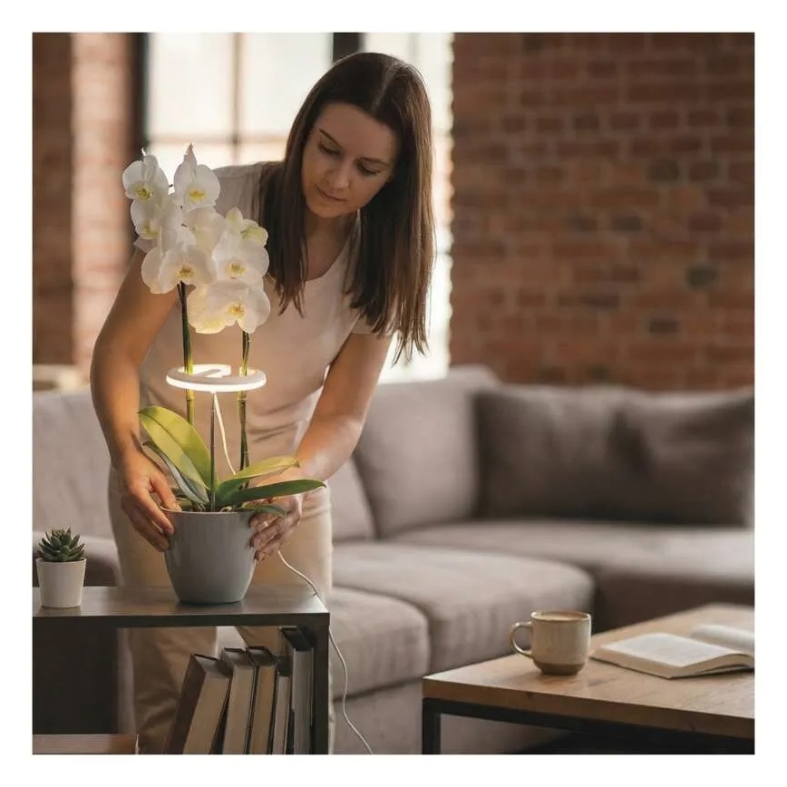 Lámpara LED regulable de interior para cultivo de plantas GROW LED/8W/5V