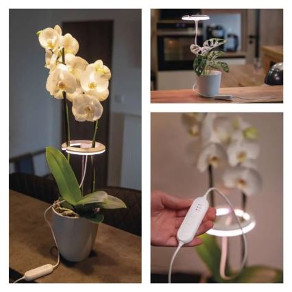 Lámpara LED regulable de interior para cultivo de plantas GROW LED/8W/5V