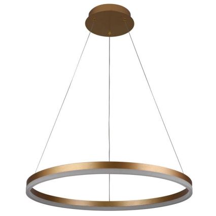 Lámpara colgante LED regulable con cable LED/42W/230V 3000-6500K Ø 60 cm + mando a distancia