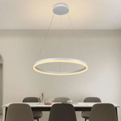 Lámpara colgante LED regulable con cable LED/42W/230V 3000-6500K Ø 60 cm + mando a distancia