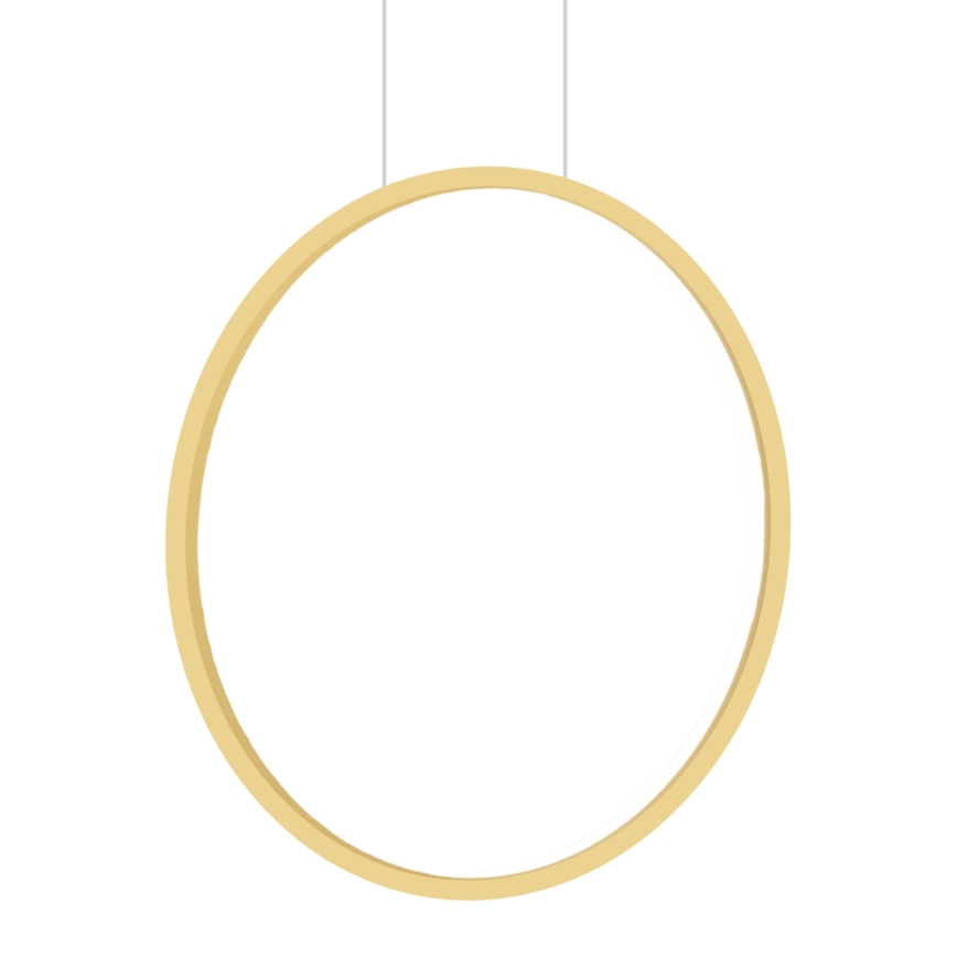 Lámpara LED colgante SATURNO LED/28W/230V Ø 50 cm IP44 dorado