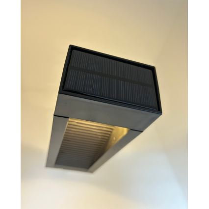 Lámpara solar LED 2xLED/1,2V 200 mAh IP44 negra