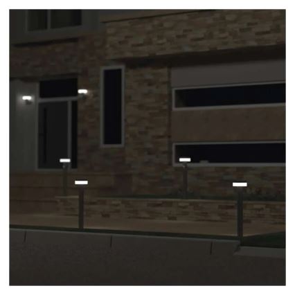 Lámpara solar LED con sensor LED/2W/3,7V 1200 mAh IP44 50 cm