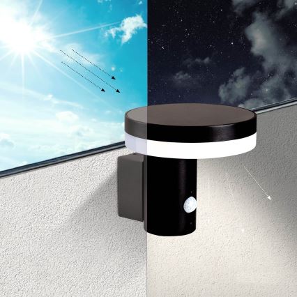 Lámpara de pared solar LED con sensor SOLARIS3 LED/5,5W/3,7V 4000K IP44 2600 mAh