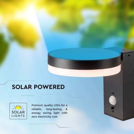 Lámpara solar LED de pared para exterior con sensor LED/5,5W/3,7V 3000K IP54 2000 mAh