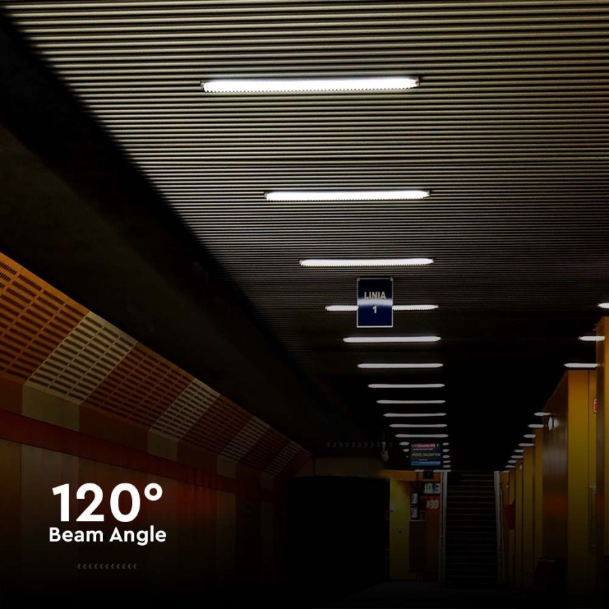 Lámpara técnica LED fluorescente LED/48W/230V 4000K IP65 150 cm
