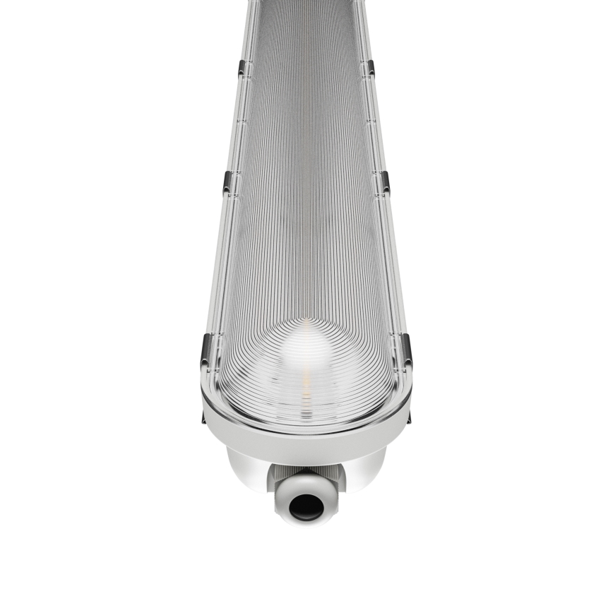Lámpara técnica LED fluorescente LIMEA GIGANT PRO LED/12/21W/230V 4000K IK10 IP66 60 cm