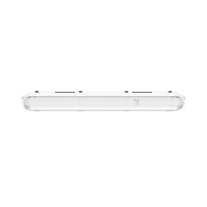 Lámpara técnica LED fluorescente LIMEA GIGANT PRO LED/12/21W/230V 4000K IK10 IP66 60 cm