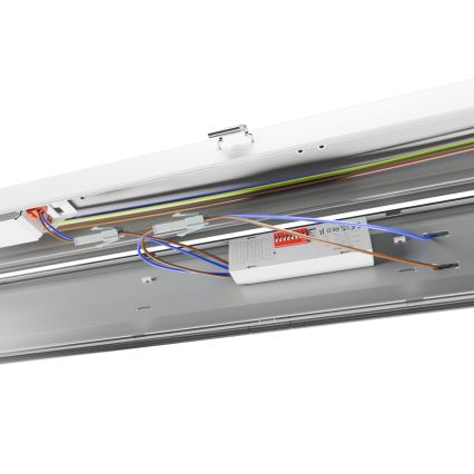 Lámpara técnica LED fluorescente LIMEA GIGANT PRO LED/40/54/68/85W/230V 4000K IK10 IP66 150 cm