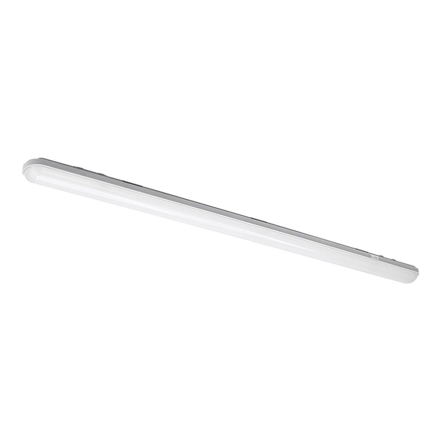 Lámpara técnica LED fluorescente NEGRO LED/36W/230V IP65 6000K