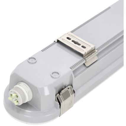 Lámpara técnica LED fluorescente NEXFORCE LED/36W/230V 4000K IP66