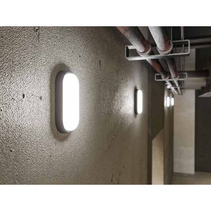 LED Aplique de pared exterior LED/6W/230V IP54 negro