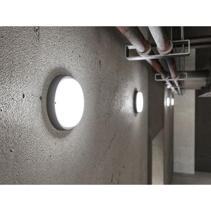 LED Aplique de pared exterior LED/9W/230V IP54 negro