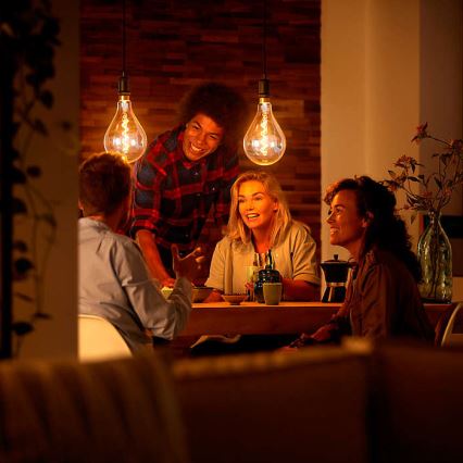 LED Bombilla decorativa regulable VINTAGE DYI E27/4W/230V - Leuchten Direkt 0846