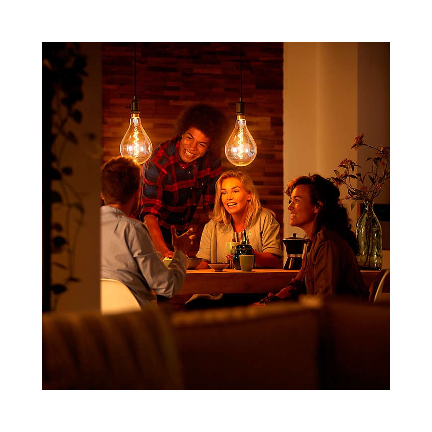 LED Bombilla decorativa regulable VINTAGE DYI E27/4W/230V - Leuchten Direkt 0846