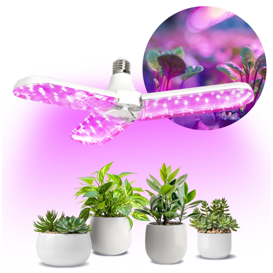 LED Bombilla para cultivo de plantas PLANTY E27/24W/230V 1200K