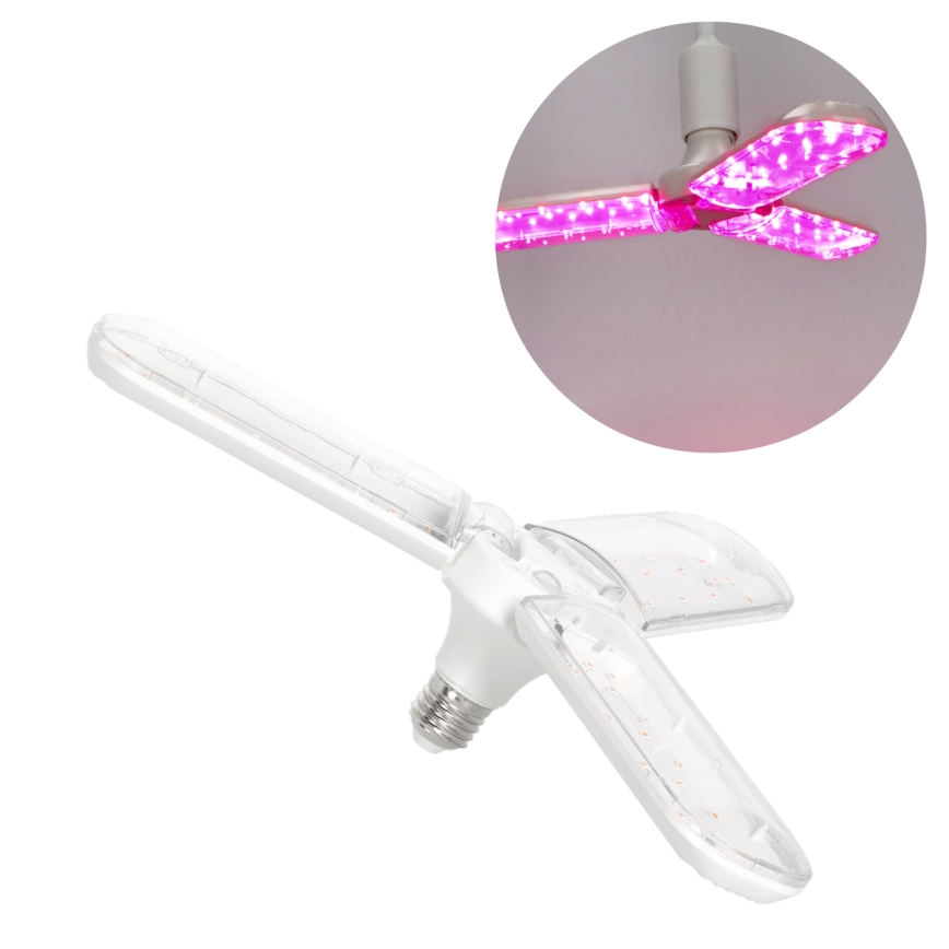 LED Bombilla para cultivo de plantas PLANTY E27/24W/230V 1200K