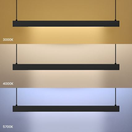 LED Lámpara colgante con cable LINEA LED/36W/230V 3000/4000/5700K CRI 90 negra