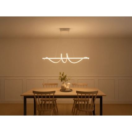 LED Lámpara colgante regulable con cable LED/50W/230V 3000-6500K 100 cm + mando a distancia