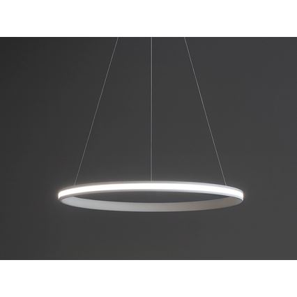 Lámpara colgante LED regulable con cable LED/55W/230V 3000-6500K Ø 60 cm + control remoto