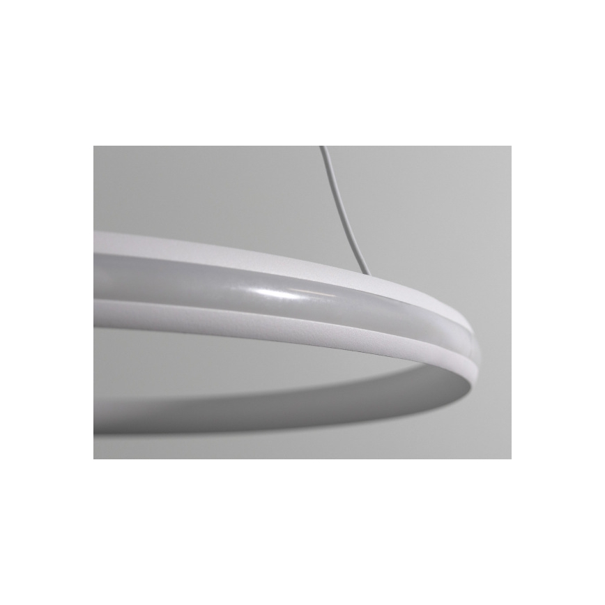 Lámpara colgante LED regulable con cable LED/55W/230V 3000-6500K Ø 60 cm + control remoto