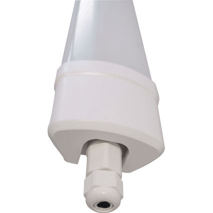 LED Lámpara fluorescente DAISY LED/40W/230V 4000K IP65