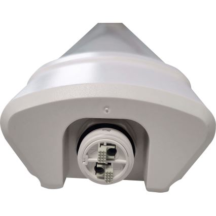 LED Lámpara fluorescente DAISY LED/40W/230V 4000K IP65