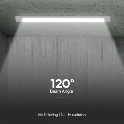 LED Lámpara fluorescente LED/40W/230V 3000/4000/6500K 116 cm