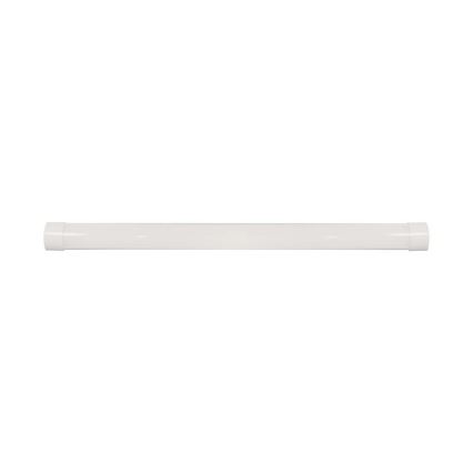 LED Lámpara fluorescente SAMSUNG CHIP LED/40W/230V 6500K 120 cm