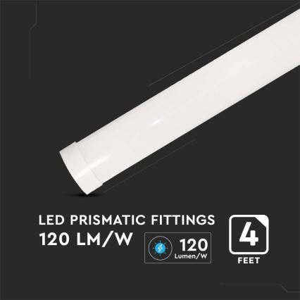 LED Lámpara fluorescente SAMSUNG CHIP LED/40W/230V 6500K 120 cm