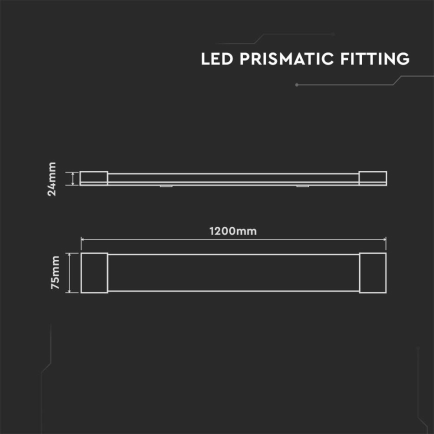 LED Lámpara fluorescente SAMSUNG CHIP LED/40W/230V 6500K 120 cm