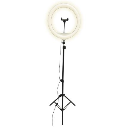 LED Lámpara regulable con trípode y soporte para vlogging LED/15W/5V 2700-6500K