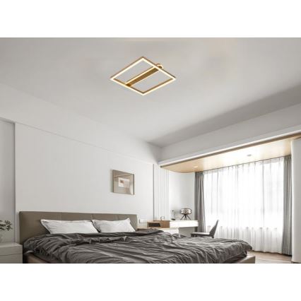 LED Luminaria de techo regulable LED/60W/230V 3000-6500K + mando a distancia