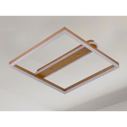 LED Luminaria de techo regulable LED/60W/230V 3000-6500K + mando a distancia