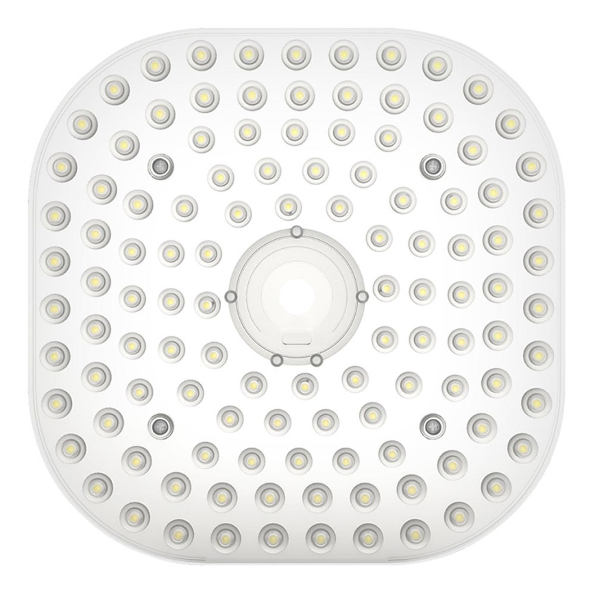 LED módulo MODULE LED/30W/230V