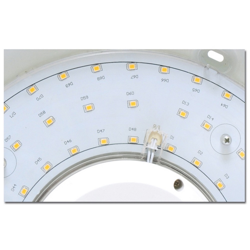 LED Plafón del baño VICTOR LED/25W/230V IP44