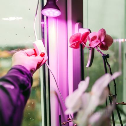 Bombilla LED para crecimiento de plantas PLANTY E27/7W/230V 1200K negra