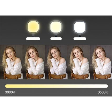 LED Regulable táctil flexible lámpara de mesa POINTIQ LED/15W/230V 3000-6500K CRI 96 negro
