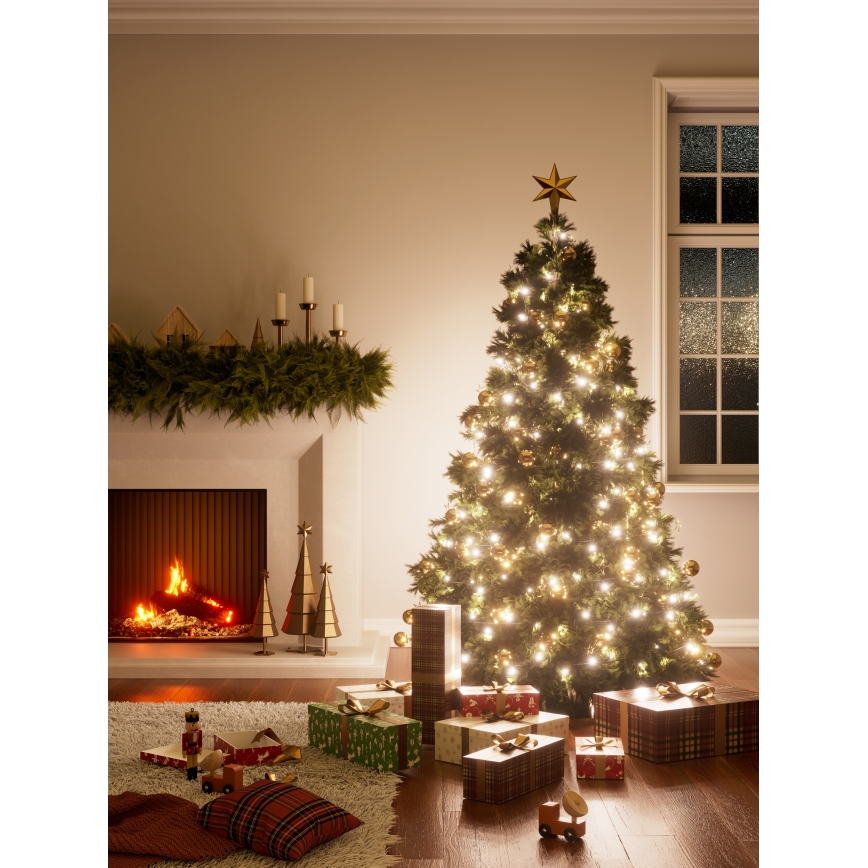 Nanoleaf - LED RGBW Cadena de Navidad para exteriores ESSENTIALS 250xLED 2x10m 2700-6500K Wi-Fi IP44