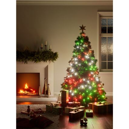 Nanoleaf - LED RGBW Cadena de Navidad para exteriores ESSENTIALS 250xLED 2x10m 2700-6500K Wi-Fi IP44