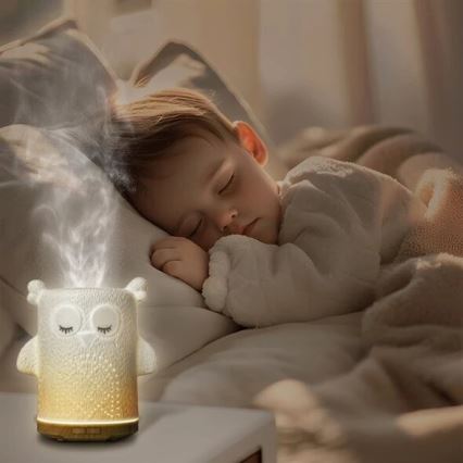LED RGBW Difusor de aromas LED/8W/230V 100 ml búho
