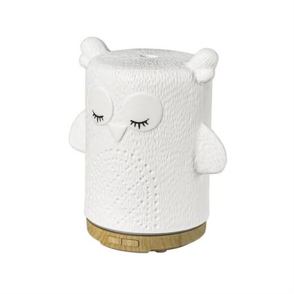 LED RGBW Difusor de aromas LED/8W/230V 100 ml búho