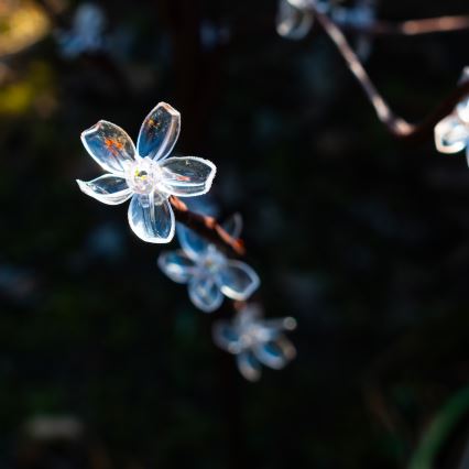 LED RGBW Lámpara solar TREE LED/0,1W/1,2V 600 mAh IP44 marrón