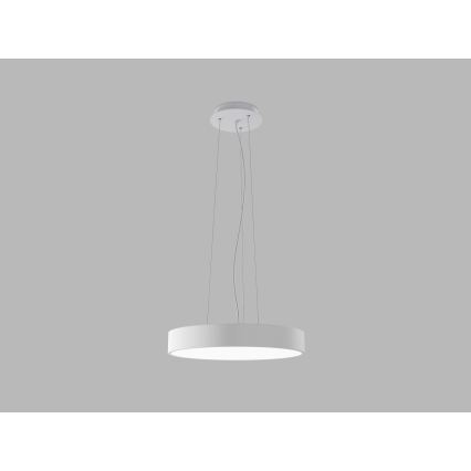 LED2 - Lámpara colgante LED en cable MONO SLIM LED/30W/230V 3000K/4000K Ø 40 cm blanca