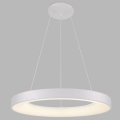 LED2 - Lámpara de araña de cable LED BELLA LED/50W/230V 3000/4000K blanco